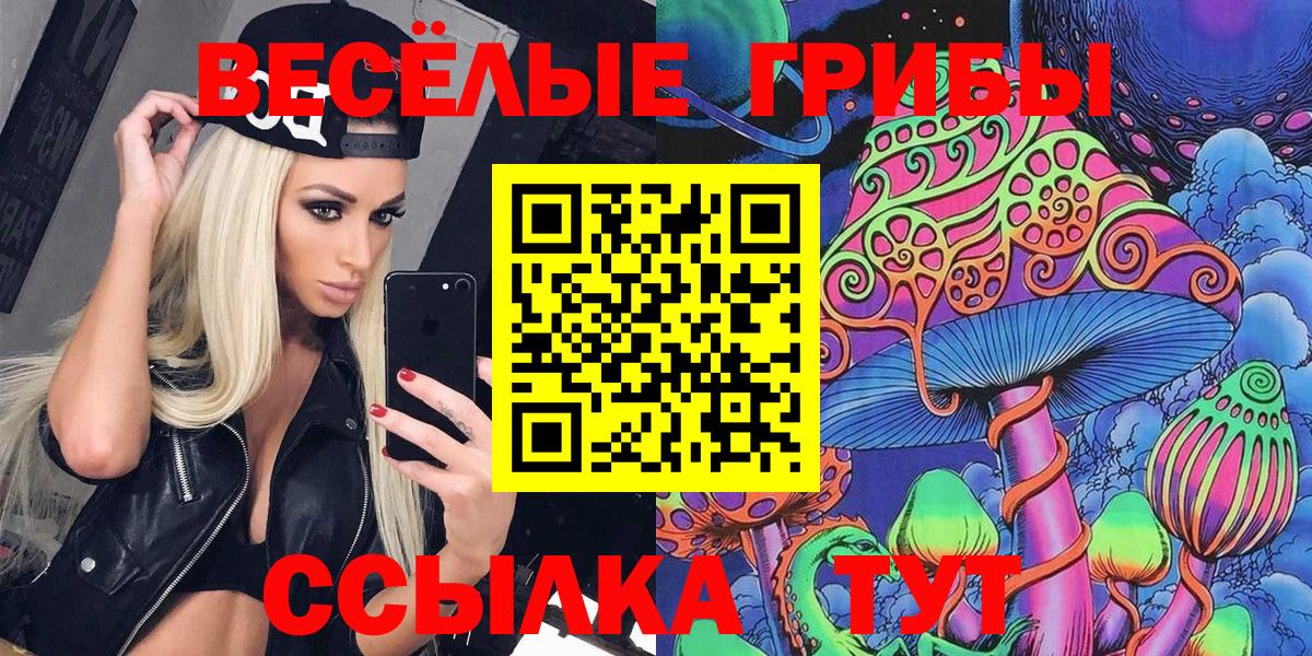 Старая Купавна  Псилоцибиновые грибы MAGIC MUSHROOMS  Вход с VPN 